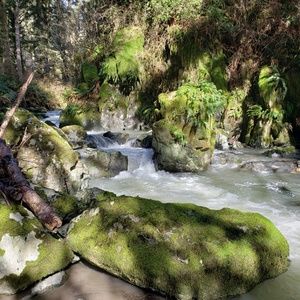 Meet your Posher, Lori